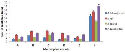 Analytical Investigation of Cymbopogon citratus and Exploiting the Potential of Developed Silver Nanoparticle Against the Dominating Species of Pathogenic Bacteria